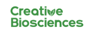 Sales Director Europe