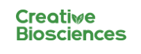 Sales Director Europe 